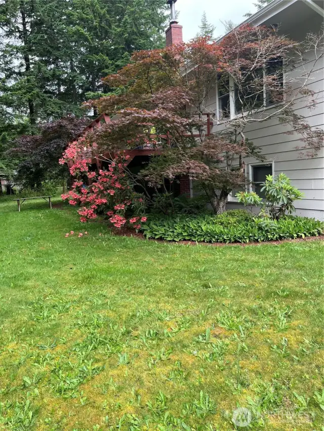 Lots of mature landscaping.