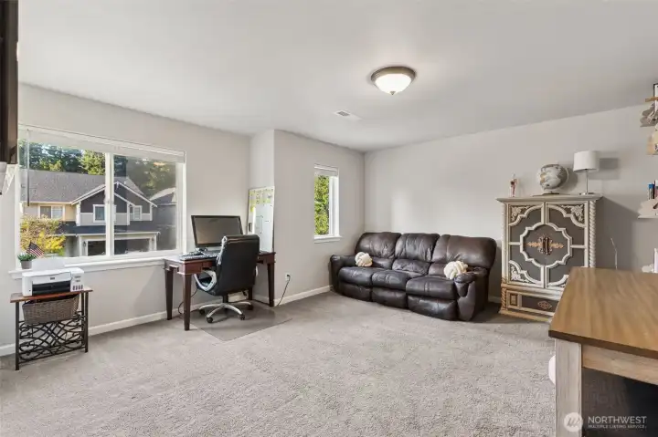 Large 5 bedroom or media room