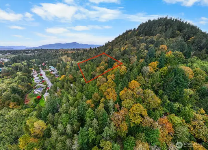 Lines are approximate, buyer to verify.