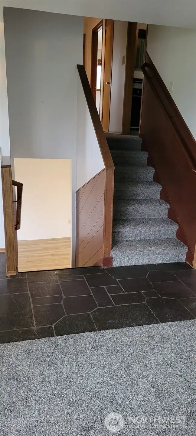 Entry way stairs with new carpet