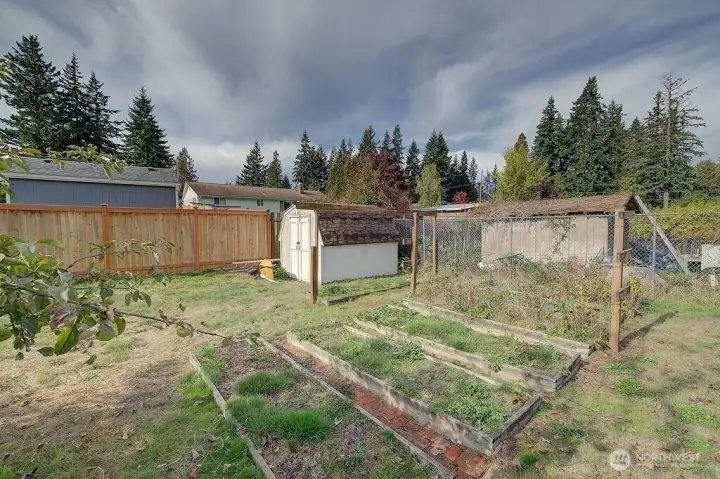 GARDEN SPACE AND SHED