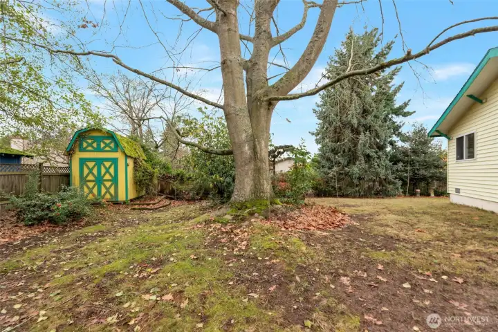 Back yard and outbuilding