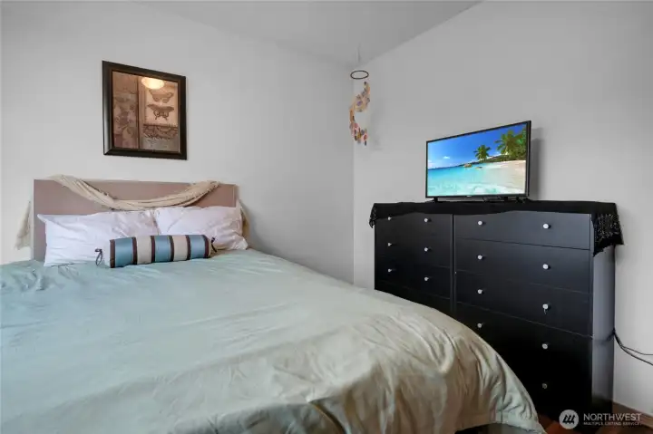 Lower level 4th bedroom.