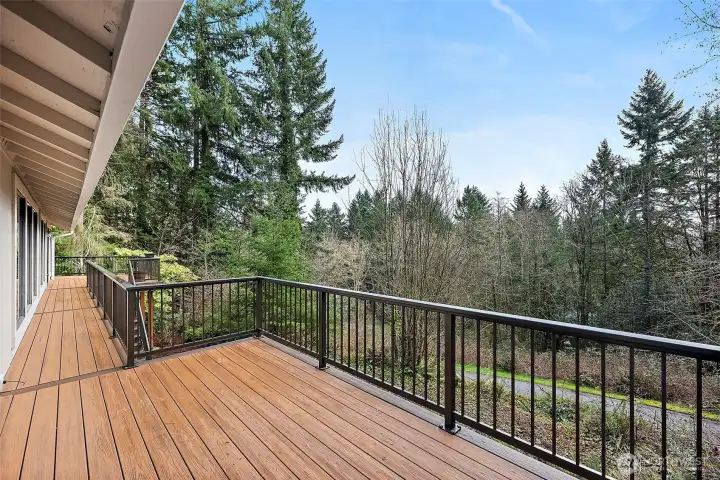 Speaking of access to it, what the heck, here's the deck!  It's new.  And it offers significant additional entertainment space, or simply a retreat for you to get a breath of fresh air.  All those trees clean that air for you to breathe.