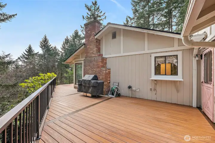 More deck space.  On a side note, have you seen a neighboring house yet?