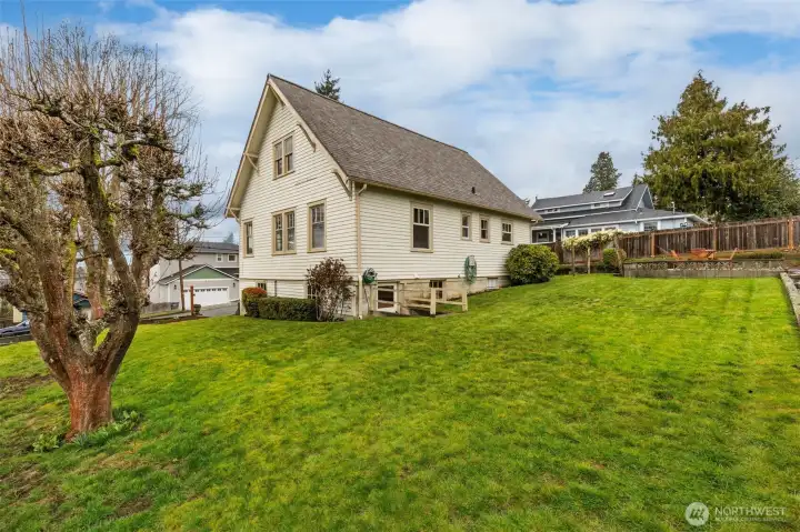 Fruit trees, roses and grapes in this back yard