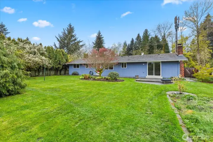 The yard is amazing, and you can enjoy fresh fruit from your own fruit trees!