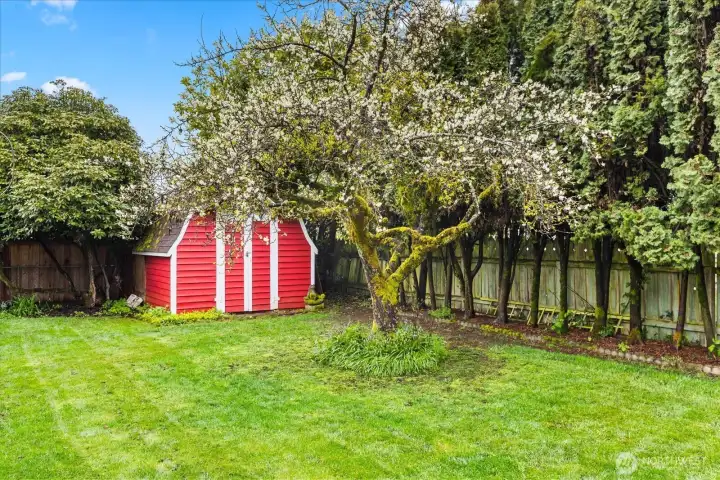 Shed conveys - nice to be able to utilize for storage or hobbies!