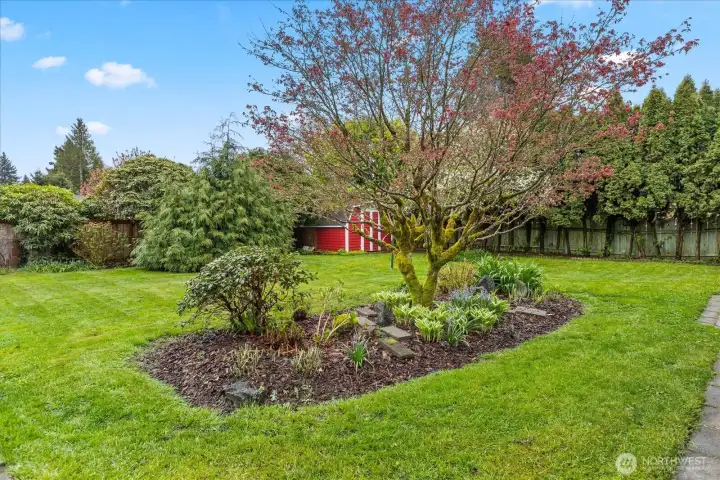 Beautiful mature landscaping