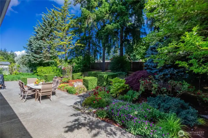 Back patio