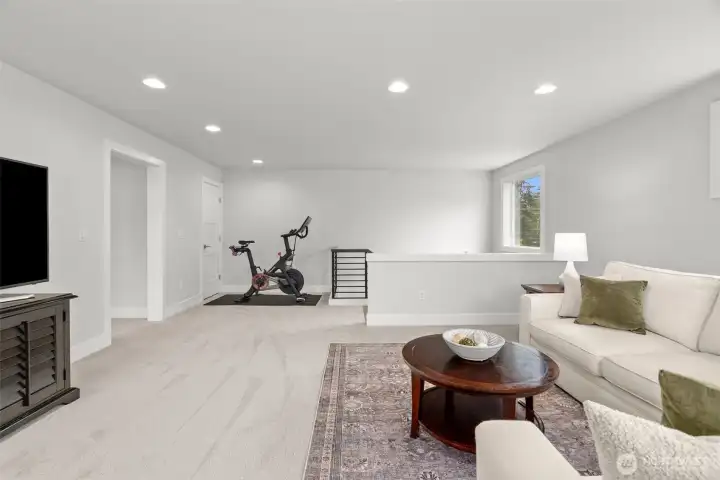 Large loft, bonus room