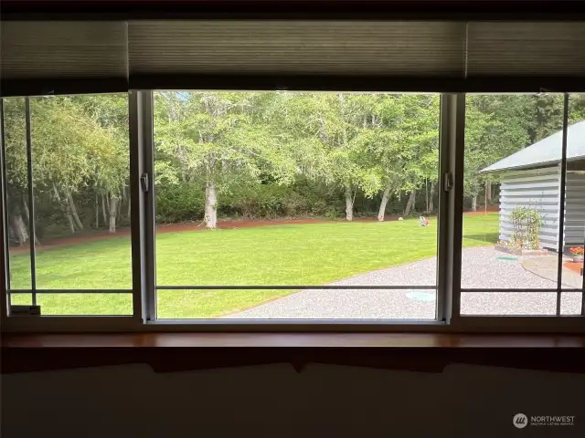 Second bedroom view to the lovely backyard lawn, trees, patio & carport.