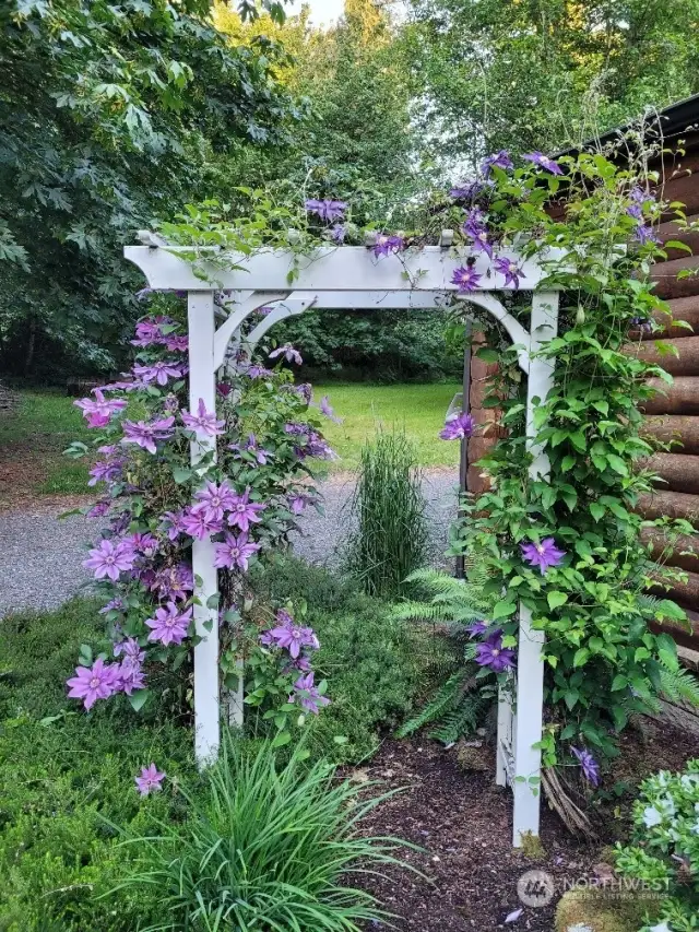 Near the storage building, to the backyard area of the home, is a fabulous trellis with Clematis and Jasmine! Your new home will look and smell fabulous!