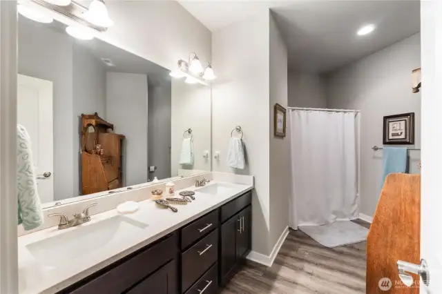 Guest Bathroom is extra spacious!