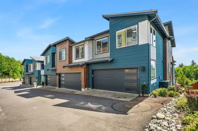 Driveway View