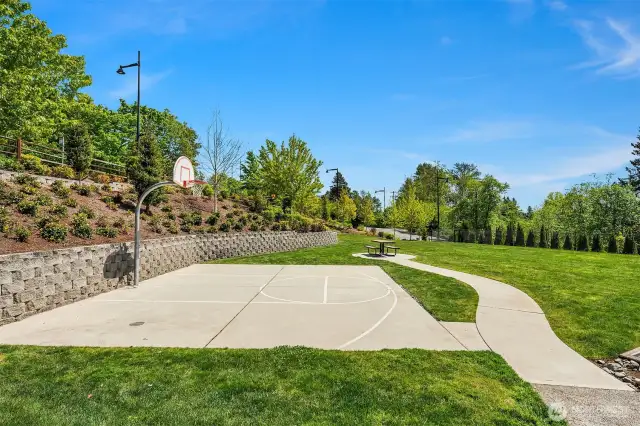 Community Sport Court