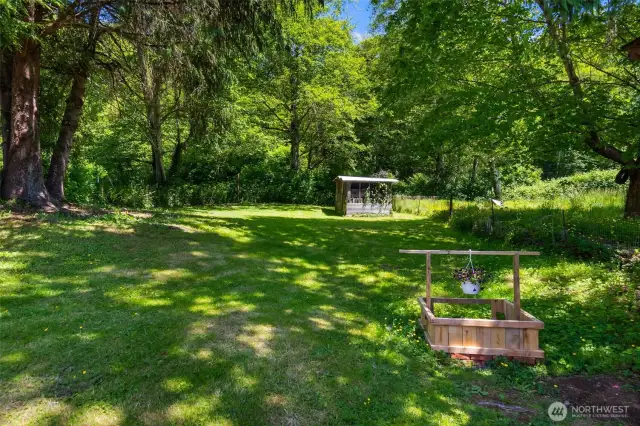 Back yard