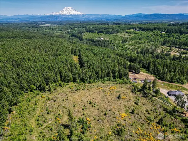 Mt. Rainier View Potential with Timber Harvest