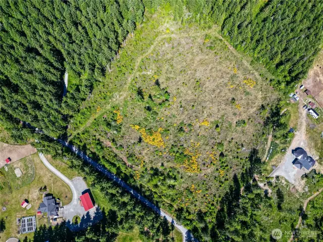 9.5 Acres of Marketable Timber