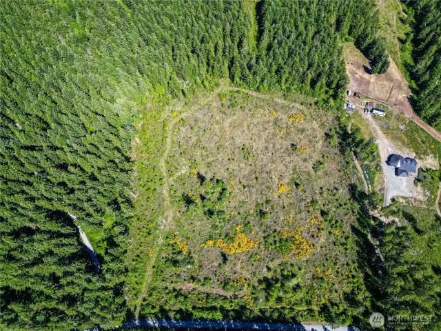 9.5 Acres of Marketable Timber