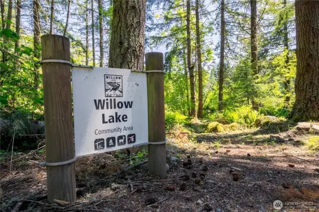 Willow Lake in Willow Lake Community