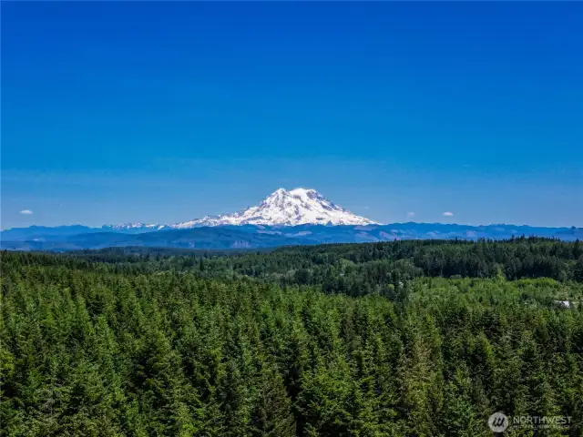 Mt. Rainier View Potential with Timber Harvest