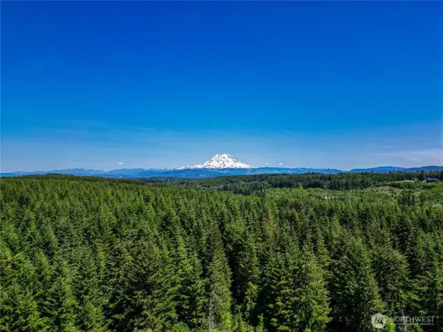 Mt. Rainier View Potential with Timber Harvest