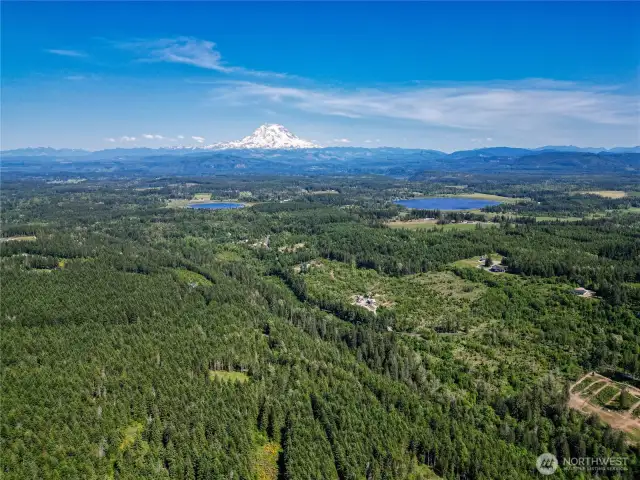 Mt. Rainier View Potential with Timber Harvest