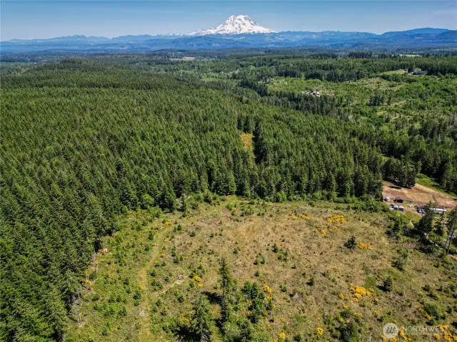 Mt. Rainier View Potential with Timber Harvest