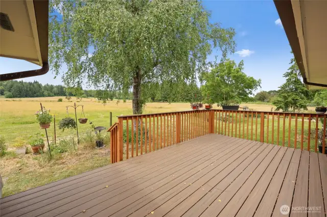Newer composite deck off the bonus space. Great place to relax and unwind and catch the sunset.