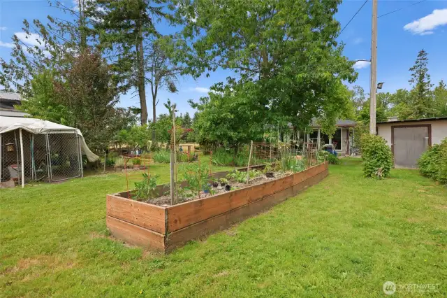 Garden beds, chicken coop area.