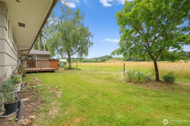Side of home looking towards back fielded acreage.