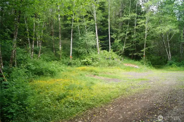 Small cleared area at the entrance of the property.