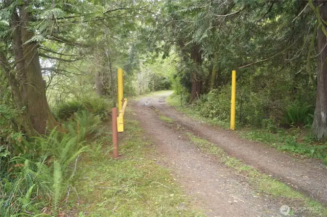 Looking back toward Pandhandle Road.