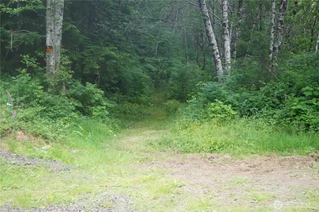 A trail has been brushed out to the ridgeline.