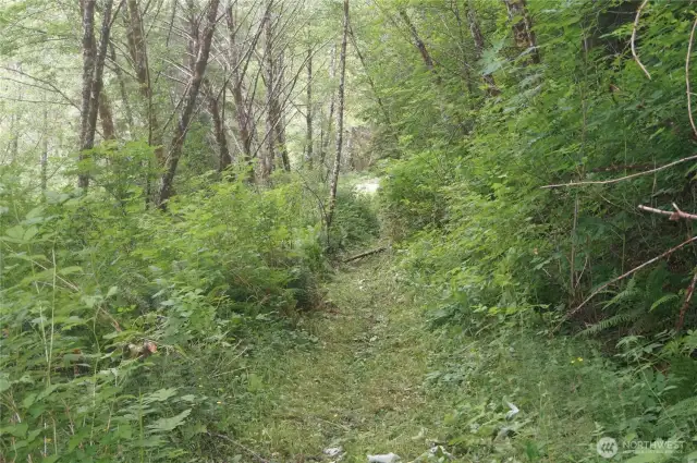 Trail