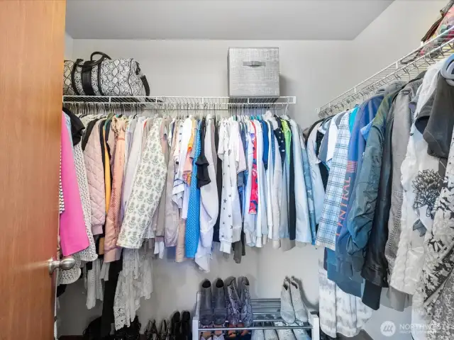 Primary walk-in closet (more space behind the door)