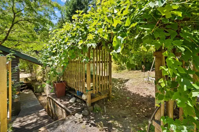 Edible garden with potting table & garden shed space