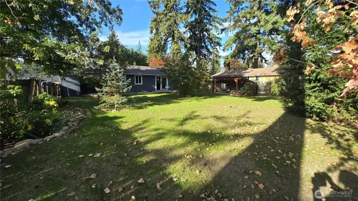 Enjoy a picture-perfect backyard featuring lush new grass and mature landscaping.