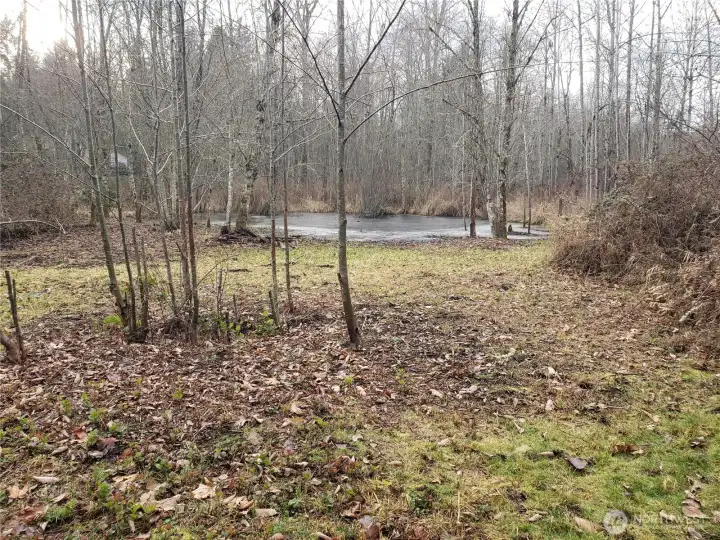 Small Pond at the Back of the 5 Acres.