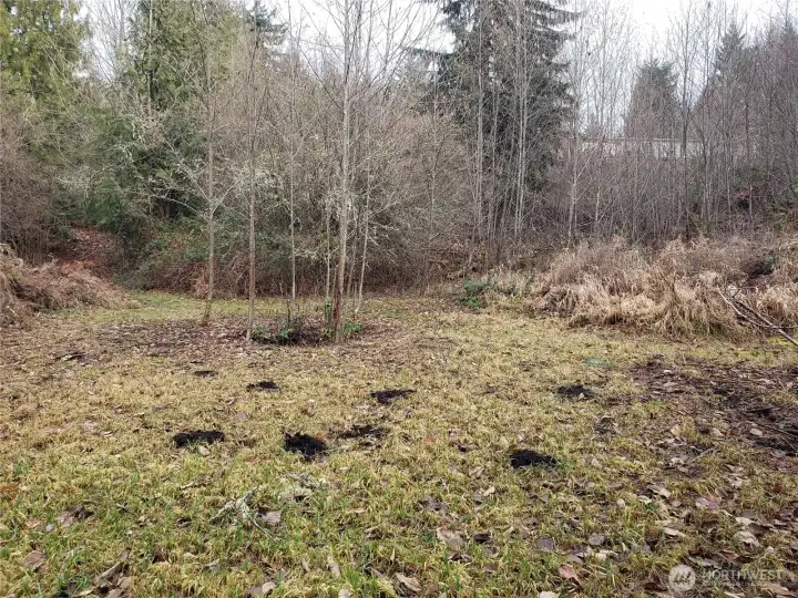 Another View close to the Pond.