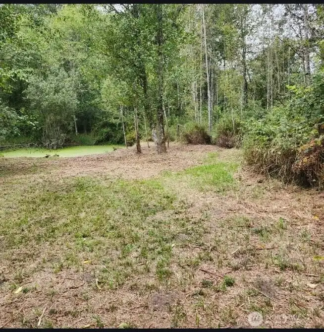The Pond in the Summer Months.