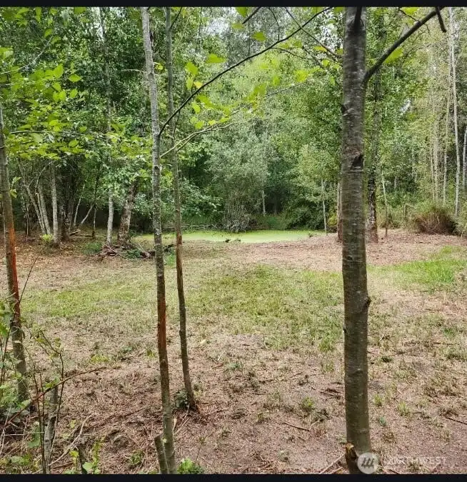 The Pond in the Summer Months.