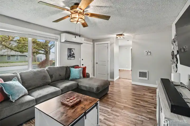 Living room with lots of light.