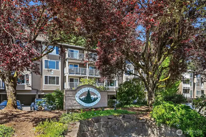 Highly desirable Ridgebrook Meadows, Best location in Issaquah!