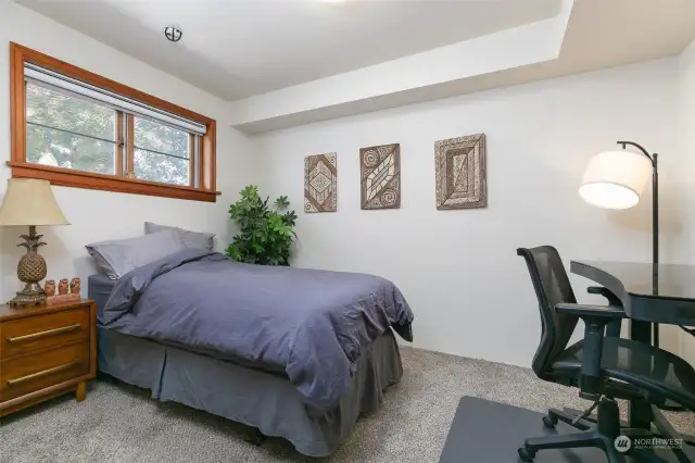 5th Bedroom on Lower Level | Cool and Privately Located and Nice Natural Light