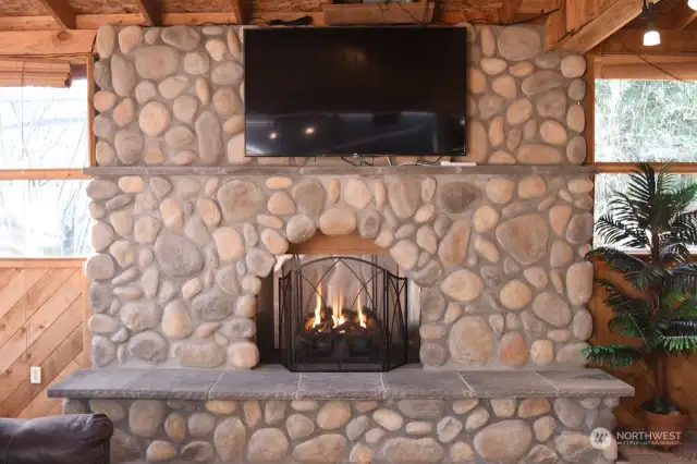 PROPANE FIREPLACE