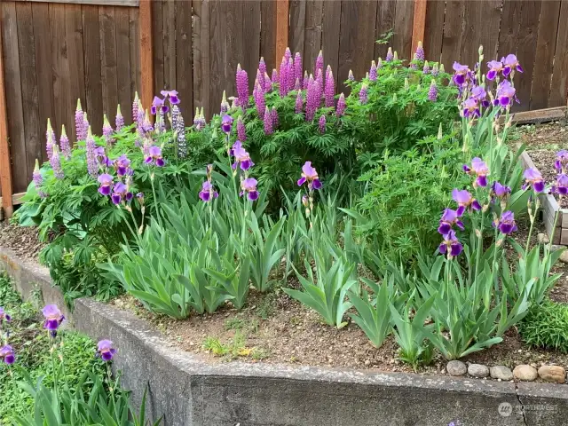 The front of house has stair step plantings for beautiful summer color at your doorstep.