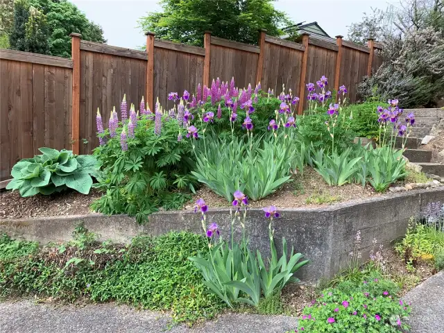 More briliiant color from the spring bloom!