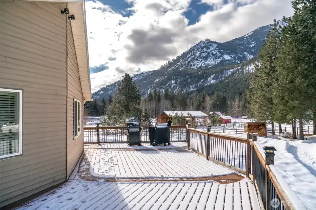 Patio View